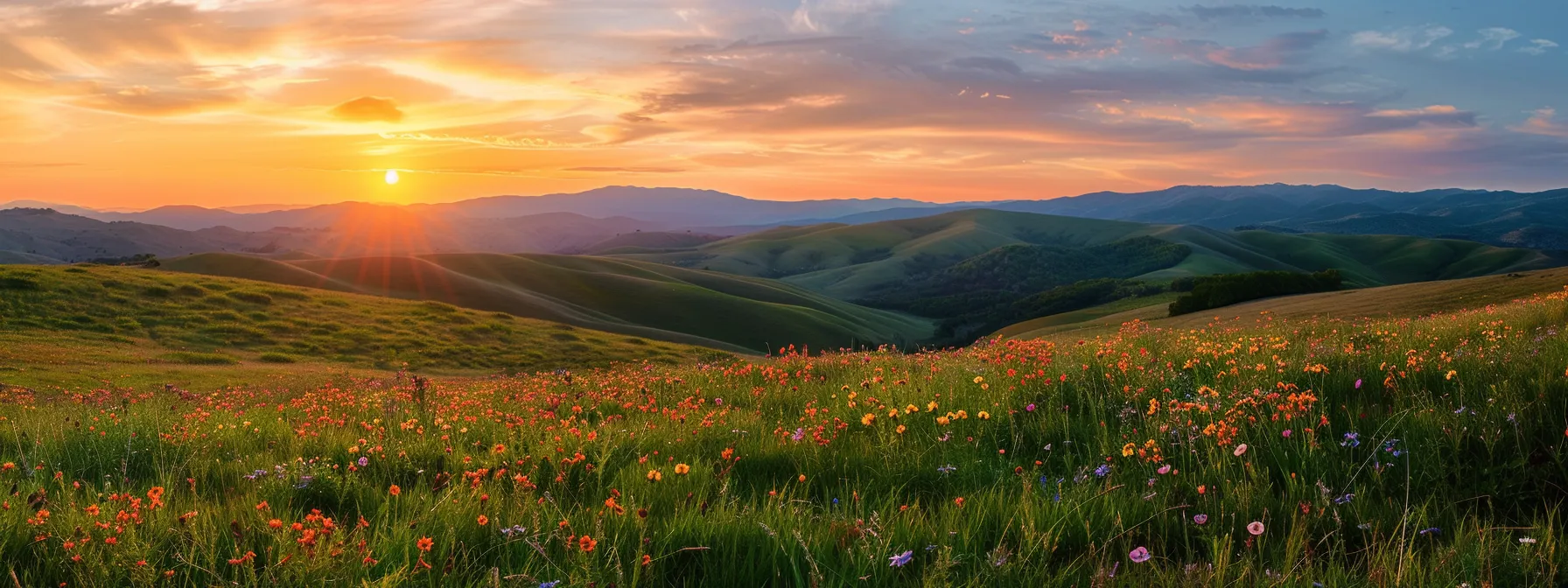 a vibrant sunset casts a golden hue over rolling hills blanketed in wildflowers, creating a serene landscape that evokes peace and tranquility.